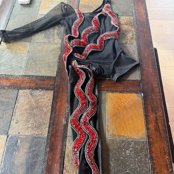 Era's Tour Taylor Swift Costume - Black with red snakes - Picture 1 of 4